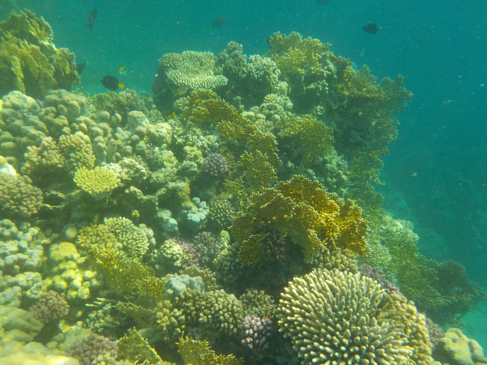 Sport & Freizeit Utopia Beach Club