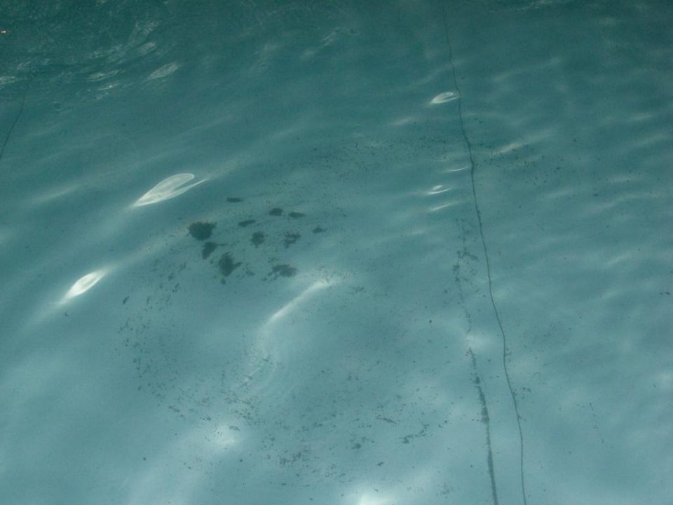 Pool im 1001 Nacht dreckig  Pickalbatros Alf Leila Wa Leila Resort - Neverland Hurghada