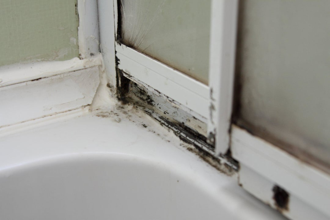 Schimmel in der Wanne Hotel Orfeus Park