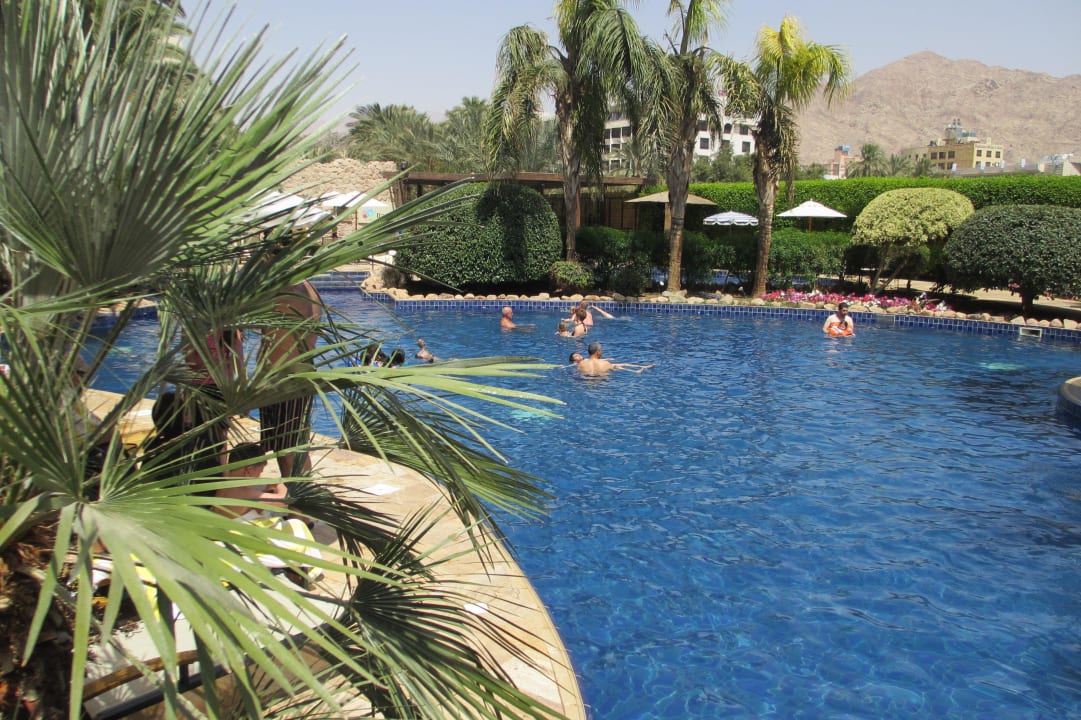 Pool Mövenpick Resort & Residences Aqaba