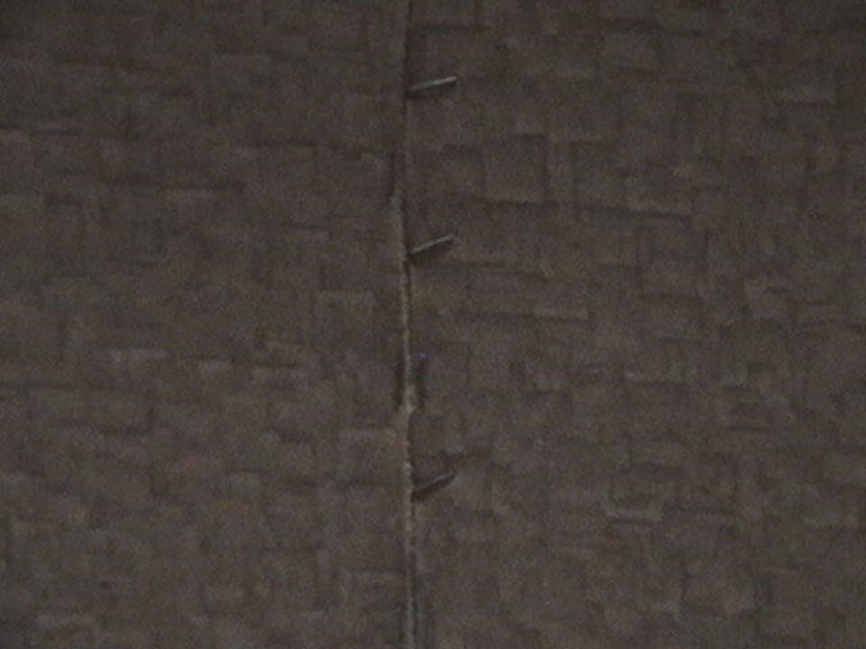 Tapete angetackert Kamelya Aishen Club