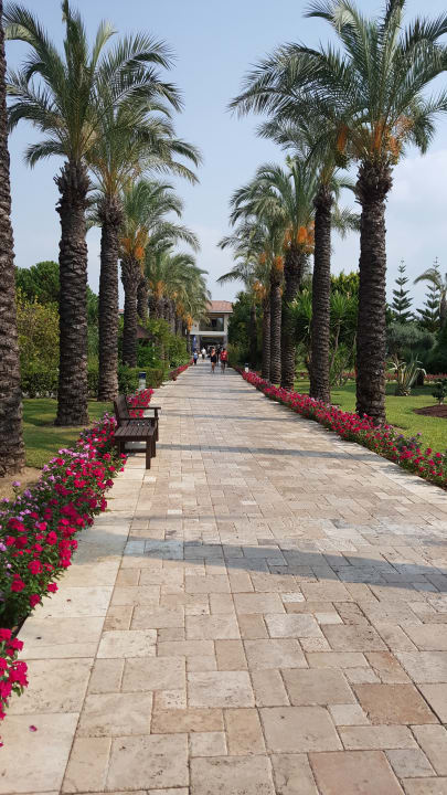 Gartenanlage TUI BLUE Palm Garden