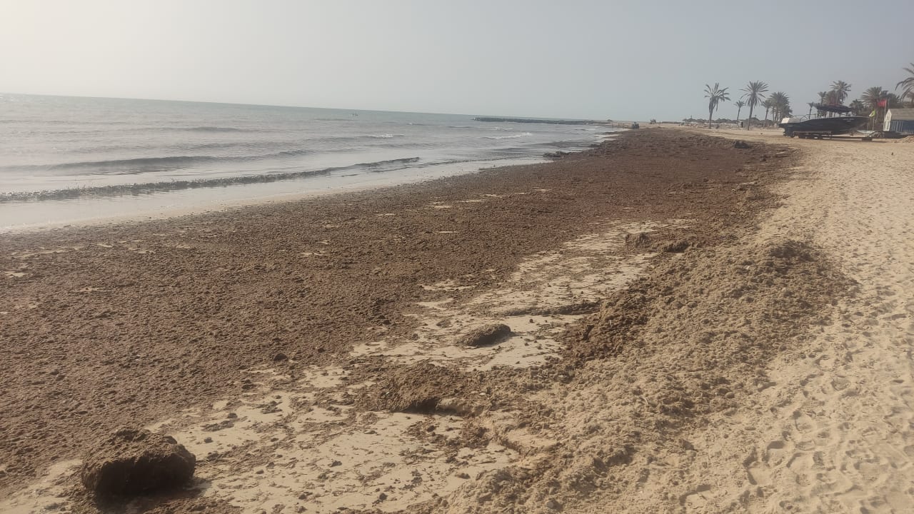 Strand Djerba Castille