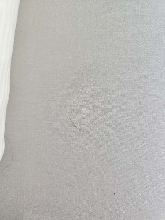 Zimmer Bellman Hotel