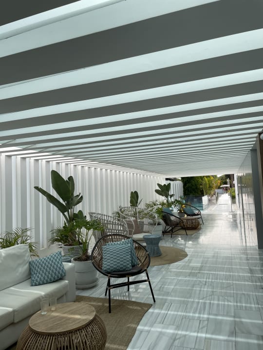 Gastro Canary Garden Club