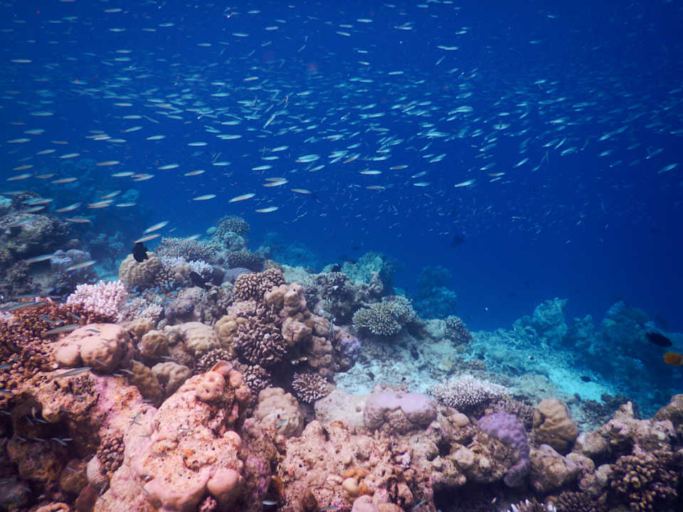 Sport & Freizeit Constance Moofushi Maldives