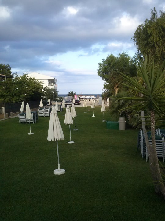 Liegewiese zum Strand allsun Hotel Eden Alcudia