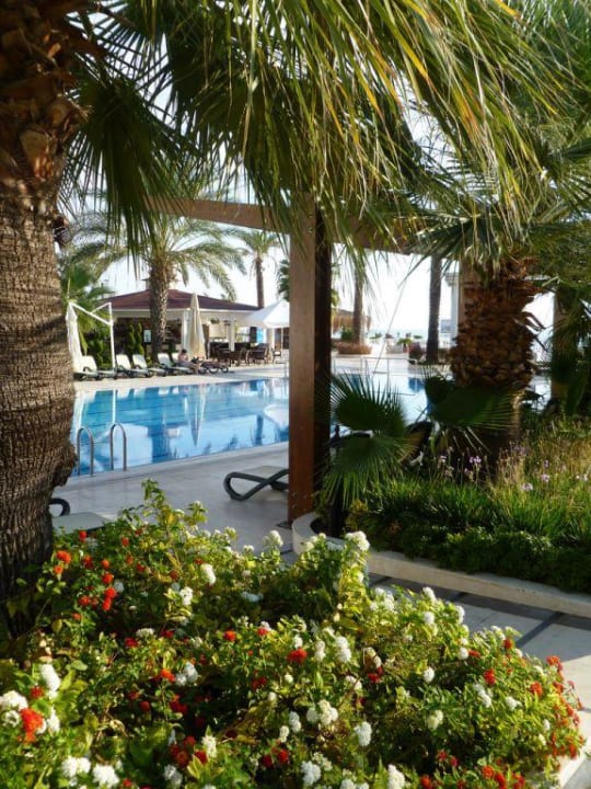 Blick auf den Pool und Bar Onkel Hotels - Beldibi Resort