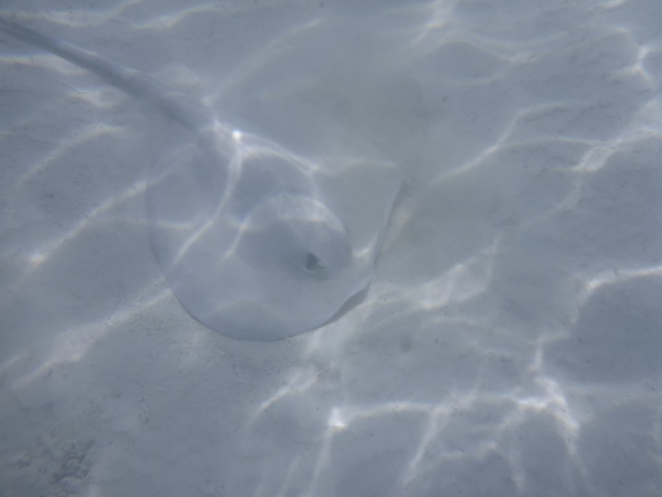 Strand Akumal Bay Beach & Wellness Resort