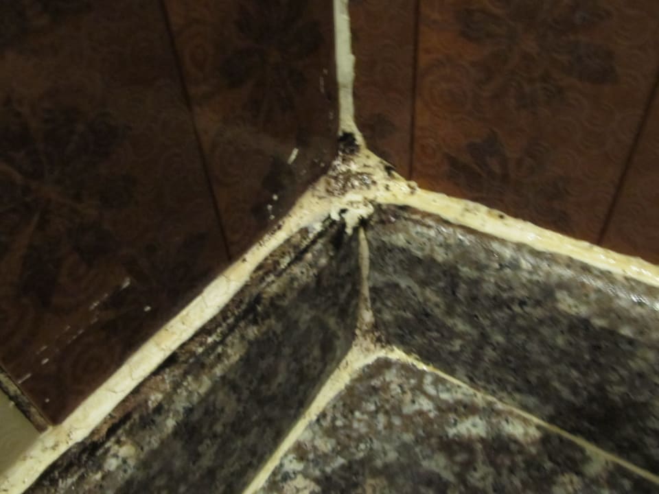 Zimmer Beach Albatros Resort