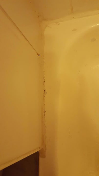 Schimmel Hotel Enziana Wien