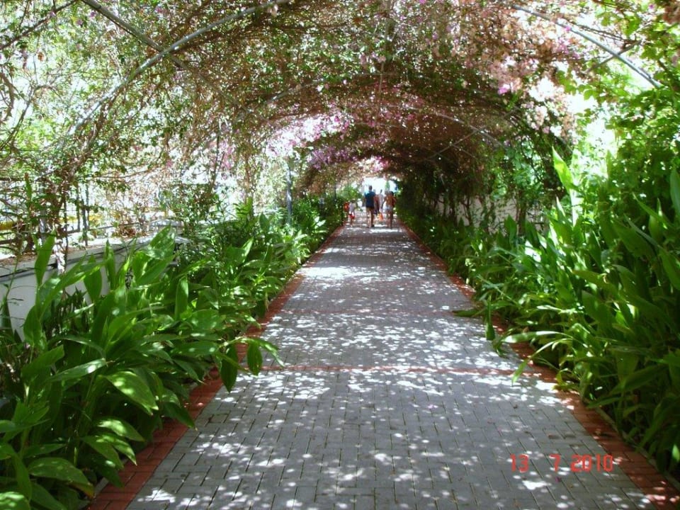 Weg zum Meer  Alaiye Resort & Spa