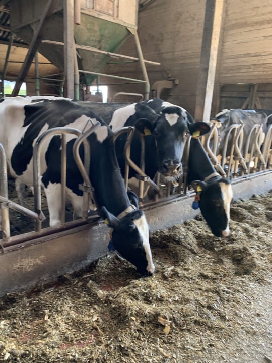 Sonstiges Erlebnisbauernhof Familie Wehrhoff