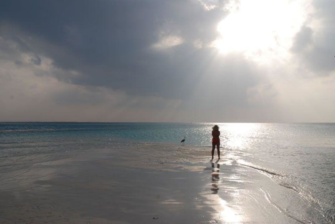 Sonnenuntergang Meeru Maldives Resort Island