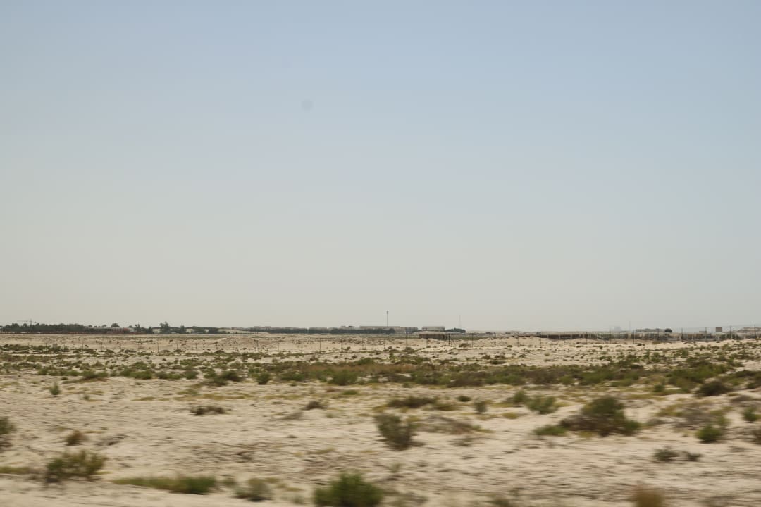 Ausblick JA Beach Hotel