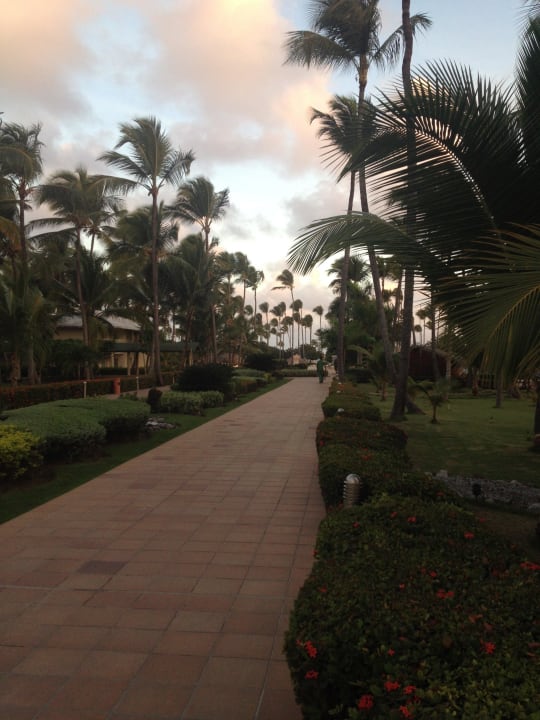 Weg zum Pool Grand Sirenis Punta Cana Resort & Aquagames