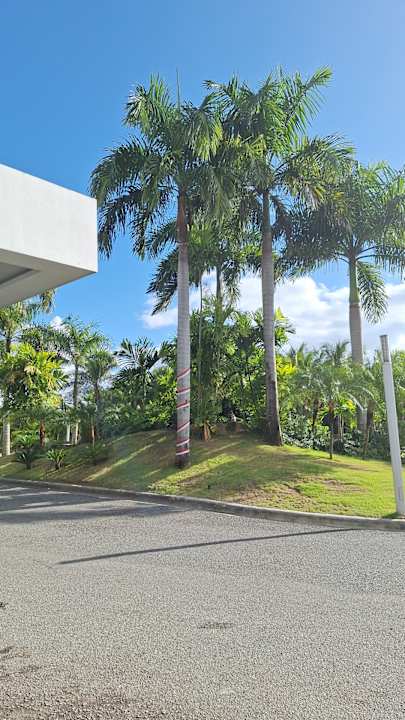 Außenansicht Hotel Riu Republica - Adults only