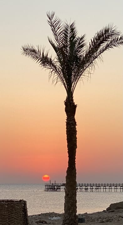 Ausblick Three Corners Sea Beach Resort