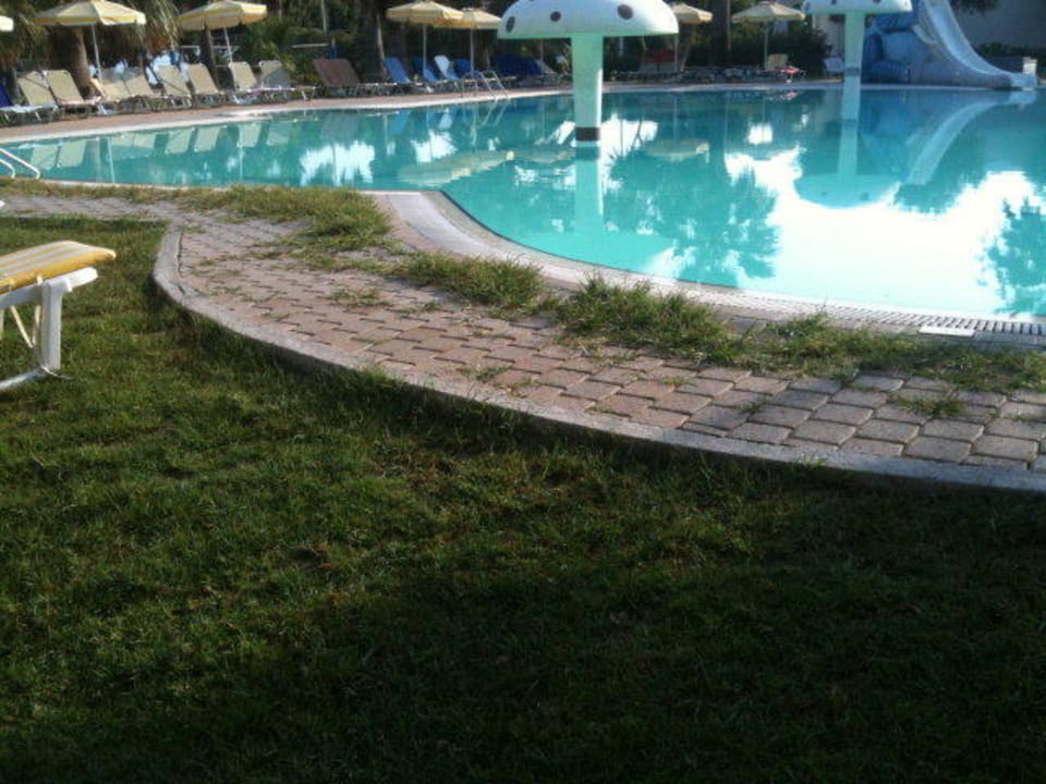 Der Gärtner war schon längere Zeit nicht mehr da  TUI KIDS CLUB Alex Beach