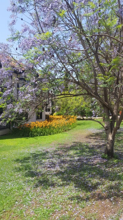 Gartenablage bei den Bungalows Starlight Resort Hotel