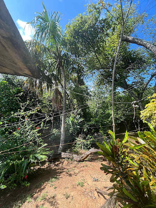 Gartenanlage Hostal Recuerdos del Tayrona