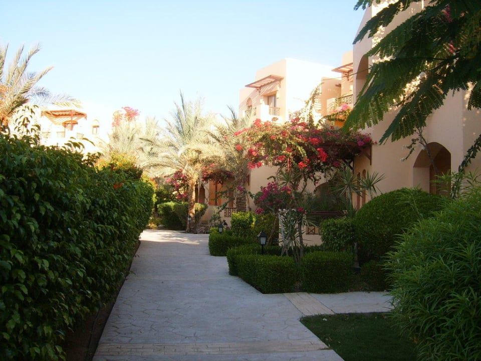 Alles grün Steigenberger Coraya Beach - Adults only