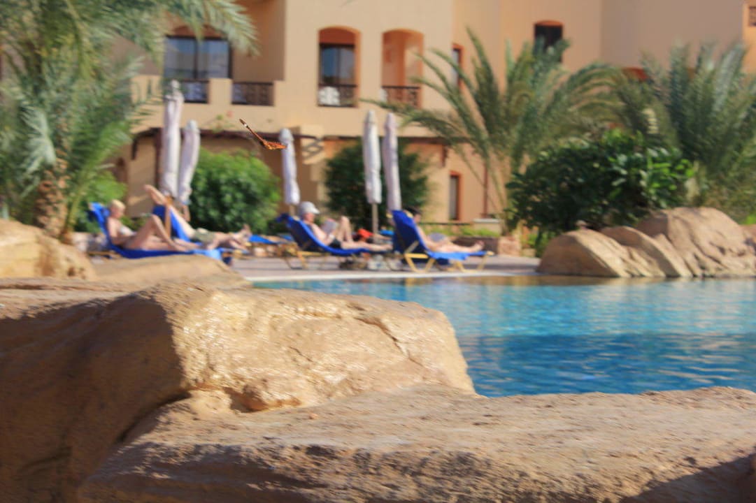 Am Pool waren immer alle Liegen belegt Steigenberger Coraya Beach - Adults only