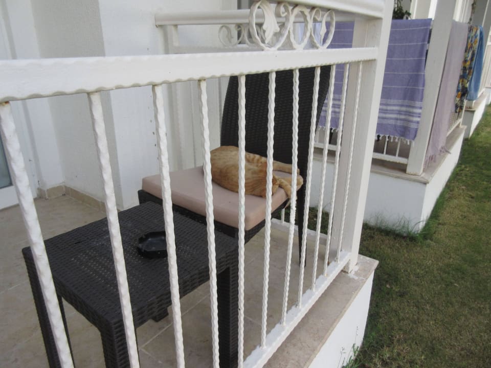 Balkon Petunya Beach Resort