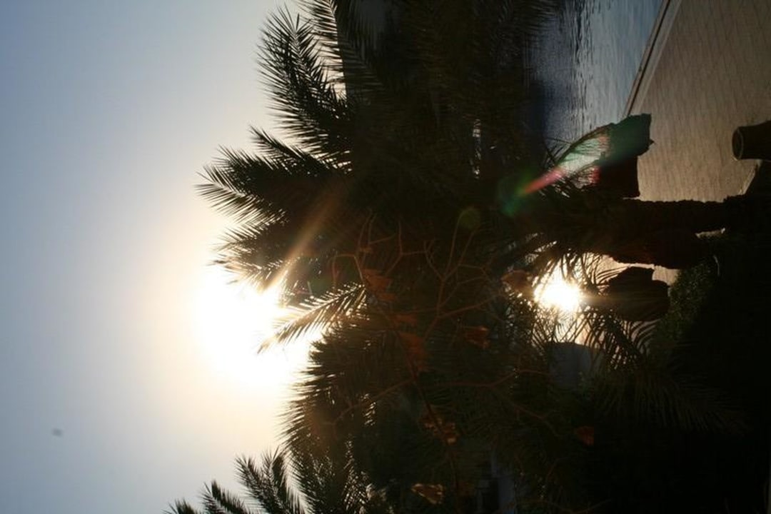 Sonnenaufgang Palm Beach Resort