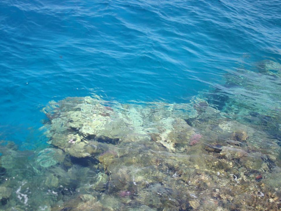 Holiday Beach Resort Three Corners Sea Beach Resort