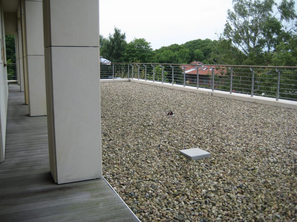 Dachterrasse Wellnessbereich ATLANTIC Hotel Wilhelmshaven