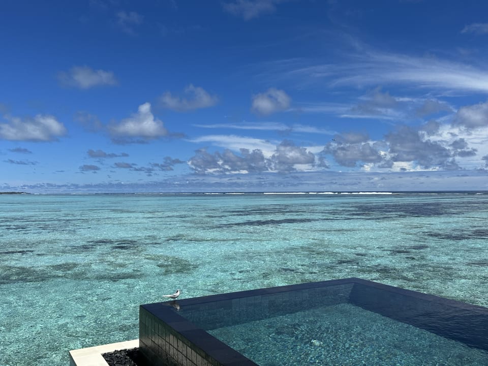 Pool Gili Lankanfushi Resort