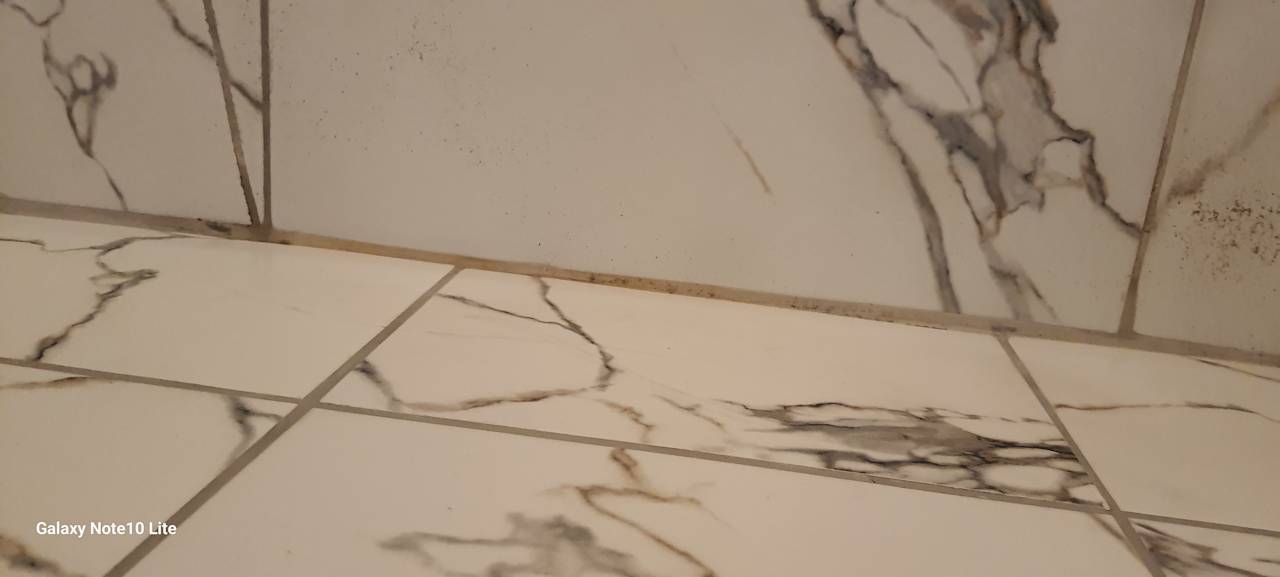 Zimmer Royal Atlantis Spa & Resort