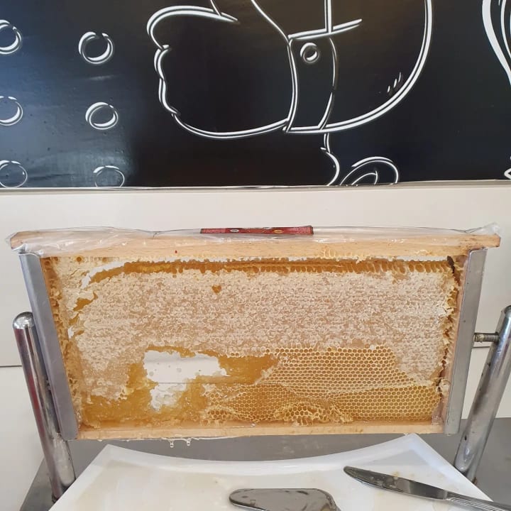 Gastro Seaden Sea World Resort & Spa