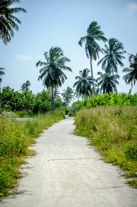 Surroundings IslandWay Etos