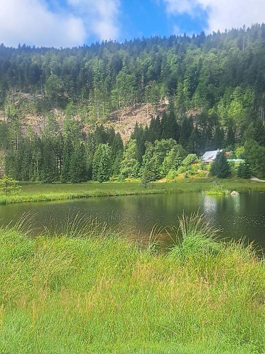 Ausblick Hotel Sonnenhof
