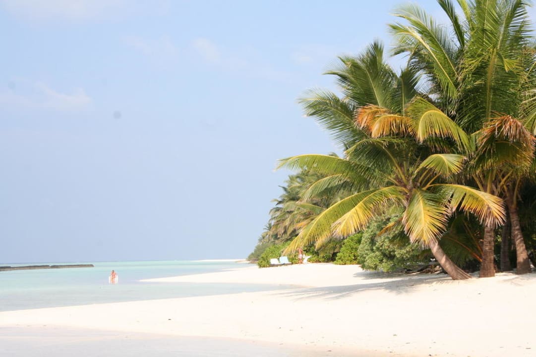 Strand auf der Riffseite Kuramathi Maldives