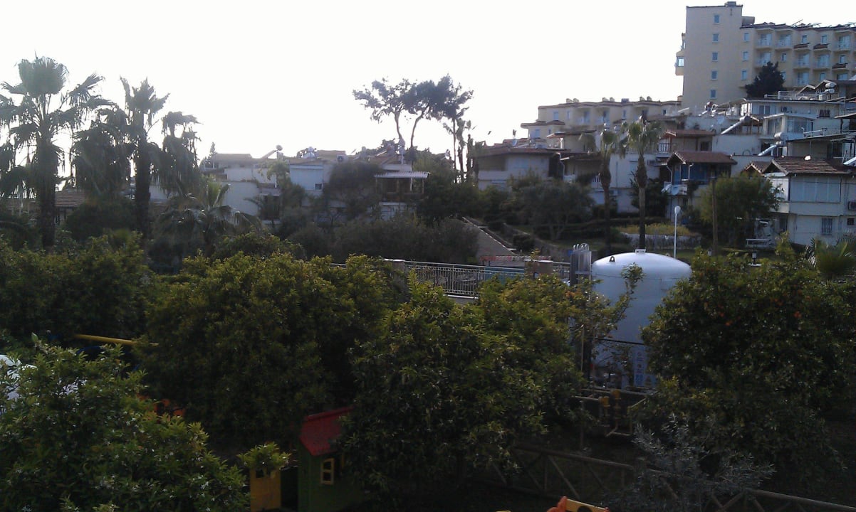 Ausblick aus einem Aktionszimmer, traumhaft Trendy Palm Beach (Adults Only, 16+)