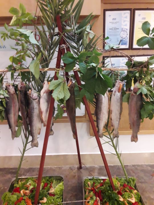 Gastro Alba Queen Hotel