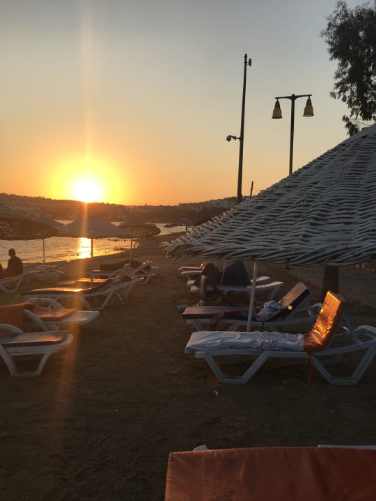 Strand Ladonia Hotels Delmare