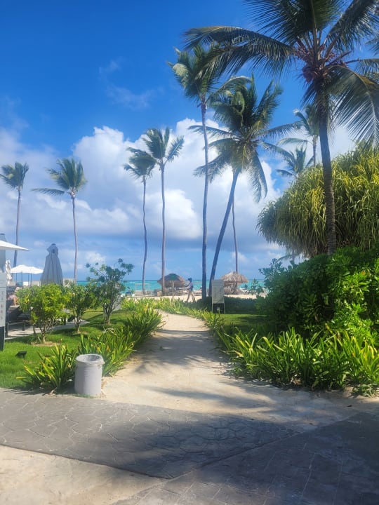 Gartenanlage Grand Bávaro Princess