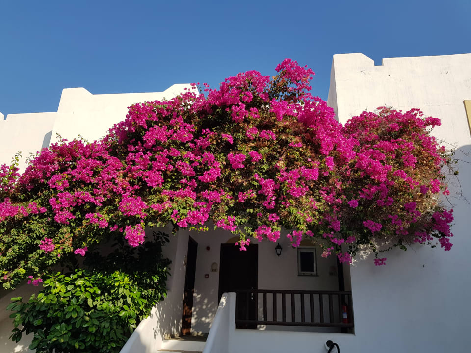 Ausblick Alexander Beach Hotel & Village Resort