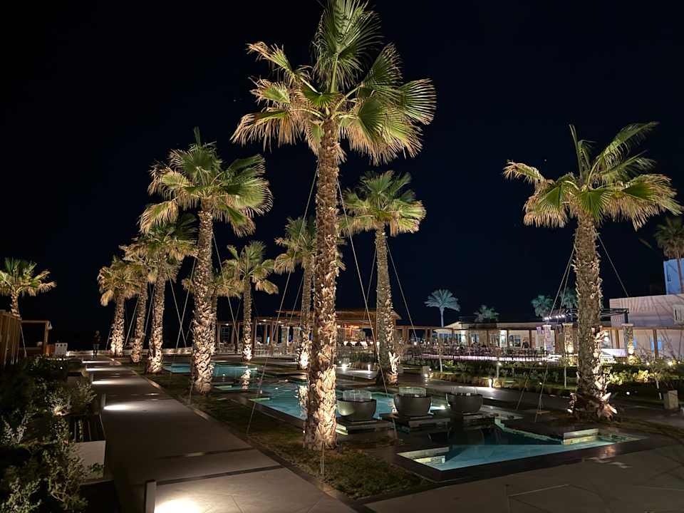 Gartenanlage allsun Hotel Carolina Mare