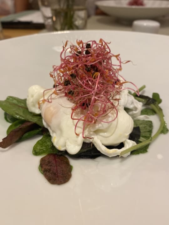 Gastro My Mayr MED Resort