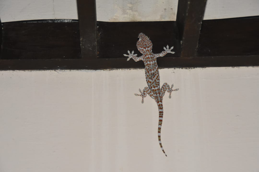 Sonstiges Hotel Pimalai Resort & Spa