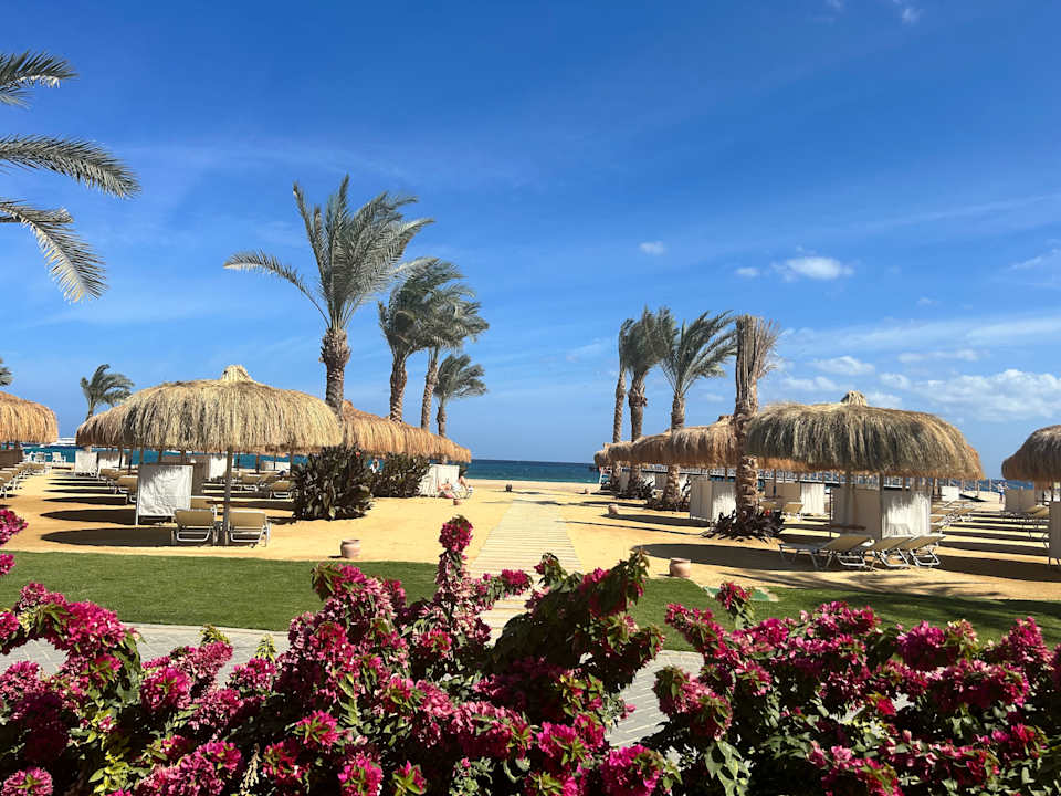 Strand JAZ Elite Amara