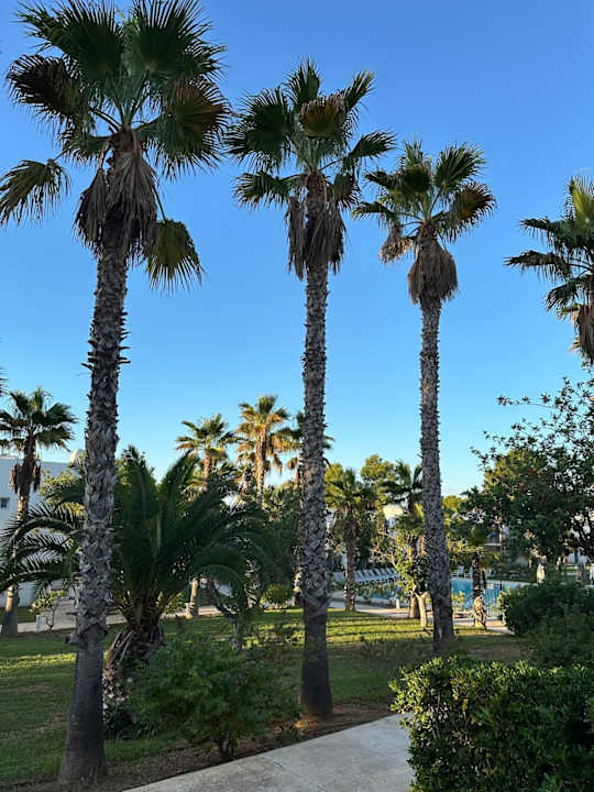 Gartenanlage Cala Llenya Resort Ibiza