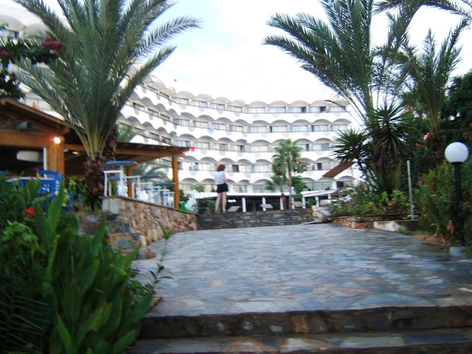 Hotel Palmen Pool Crystal Springs Beach Hotel