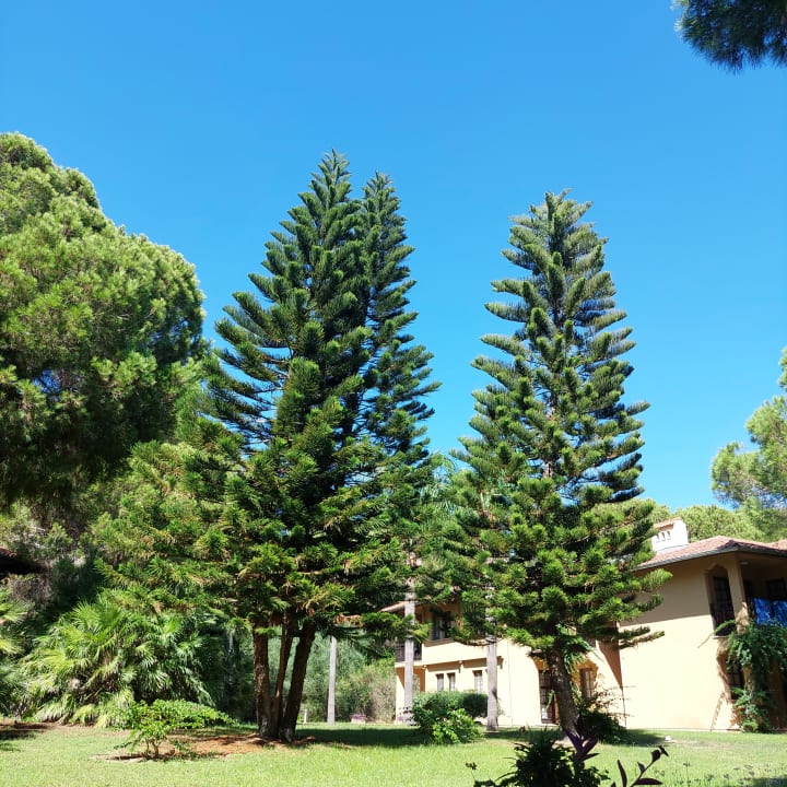 Gartenanlage Asteria Family Belek