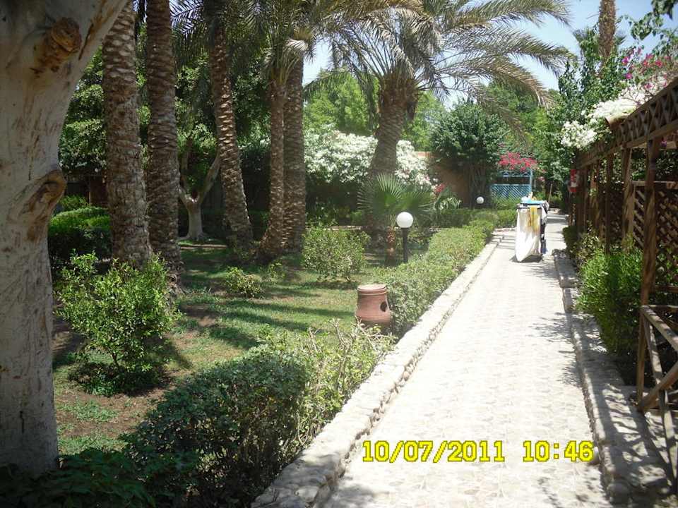 Gartenanlage im Hotel Giftun Azur Resort